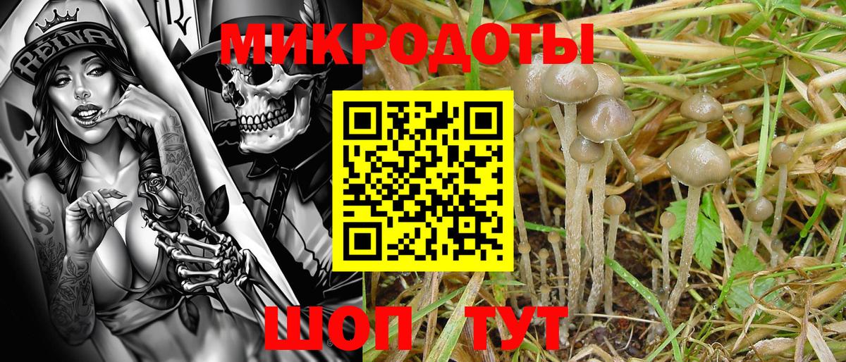Псилоцибиновые грибы ЛСД Чусовой