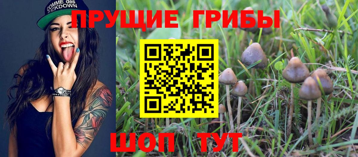Галлюциногенные грибы прущие грибы  Вход с VPN  Псилоцибиновые грибы Cubensis  Чусовой 